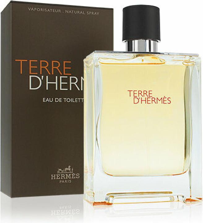 Produktbild Hermès Terre d' (Eau de Toilette, 100 ml)