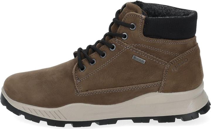 Igi&co Uomo Eloy GTX