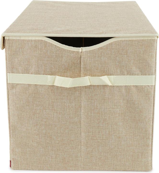Actual product image Bieco Dust box 'Lion