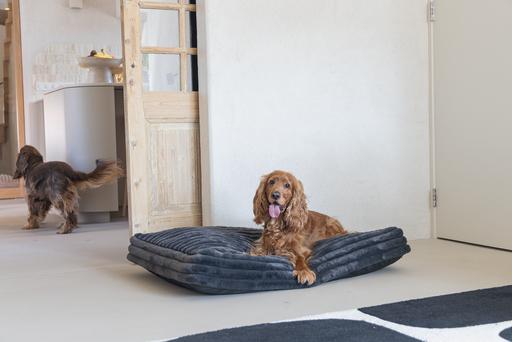 Image du produit Designed by Lotte Coussin de repos Reza (Chien)