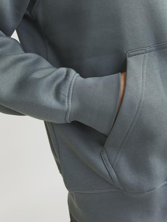 Actual product image Jack & Jones Printed hooded sweatshirt Hooded sweatshirt (M)