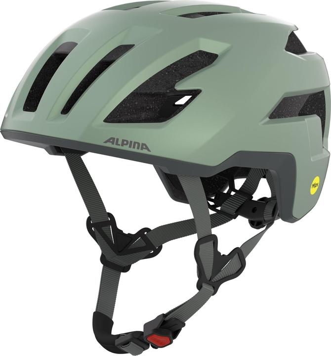 willow-green matt