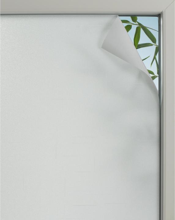 Gardinia Statistical (90 x 150 cm)