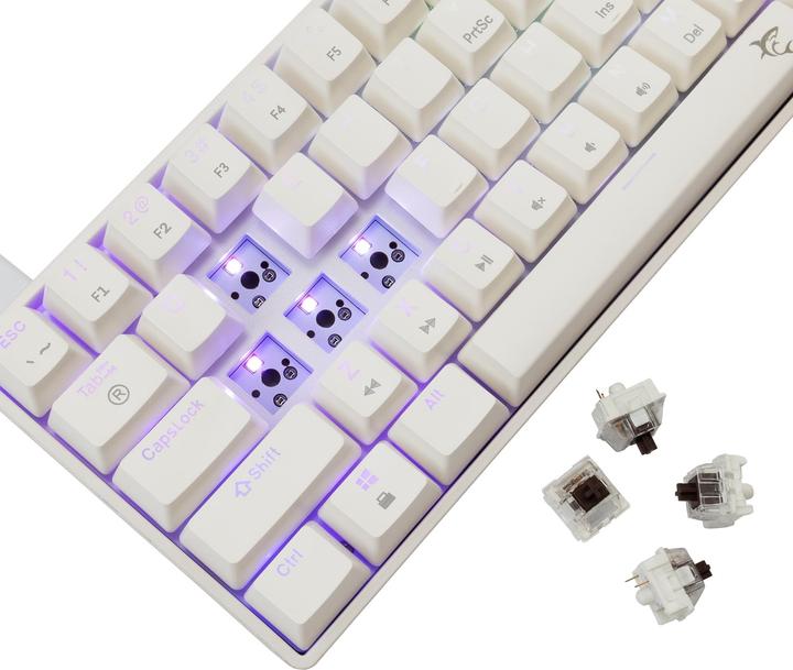 Produktbild White Shark GK-004231 Shinobi-2 Brown Switch, White US (US, Kabelgebunden)