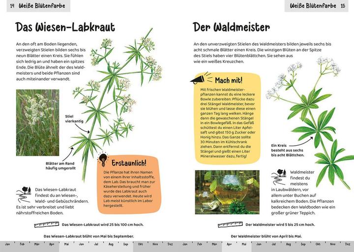 Produktbild Kosmos Was blüht denn da? Kindernaturführer (Deutsch, Heike Herrmann, Ursula Stichmann-Marny, 2022)