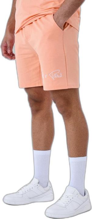 Immagine prodotto Project X Paris pantaloncini di base con ricamo del logo (XL)