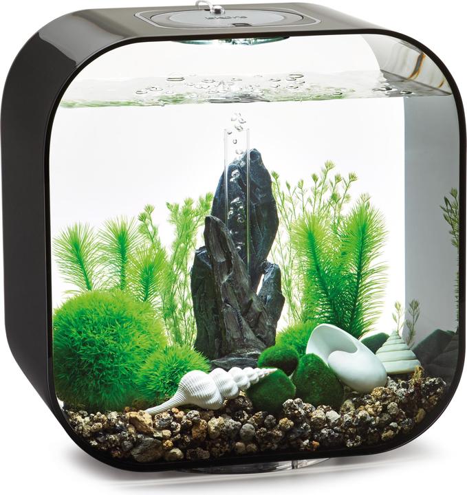 Immagine prodotto Oase Set di decorazioni per l'acquario biOrb 30 (Decorazione, altre voci)