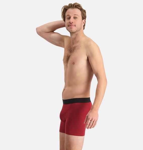 Actual product image Bamboo Basics T-shirt Ruben (L, pack of 3)