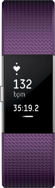 Immagine prodotto Fitbit Carica 2 (21.45 mm)