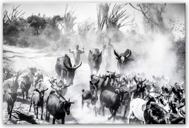 Produktbild Trenddeko Ziegenherde in Afrika (120 x 75 cm)