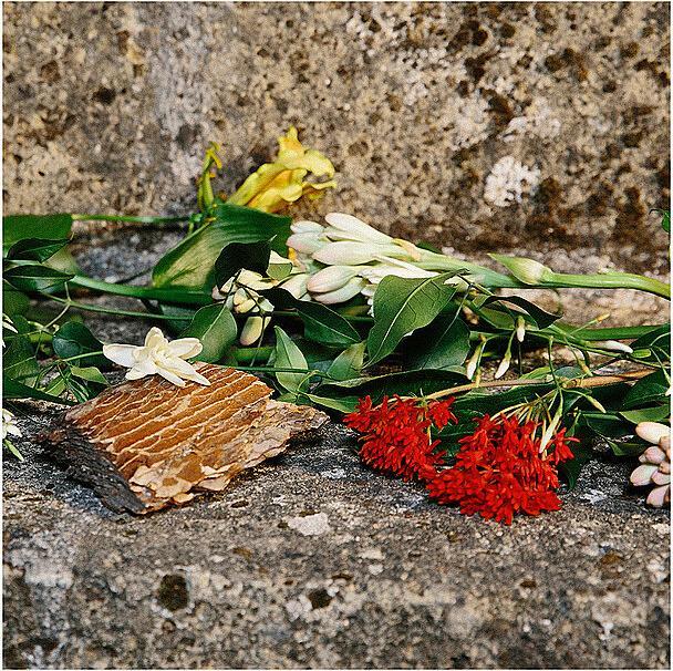 Produktbild Gucci Profumo di Fiori Eau de Parfum (Eau de Parfum, 30 ml)