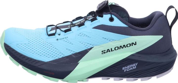 Immagine prodotto Salomon Sense Ride 5 GTX W 472160 38 2/3 (39)