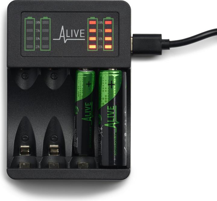 Image du produit Batterieladegerät (1 pcs, Chargeurs sans batterie)