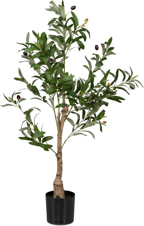 Produktbild Relaxdays Olivenbaum (90 cm)