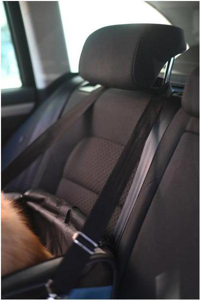 Produktbild Kerbl Autositztasche Vacation (Hund, Waschbar, Komplett zu öffnen, Reflektoren, Abschliessbar, Atmungsaktiv, Waschmaschinenfest)