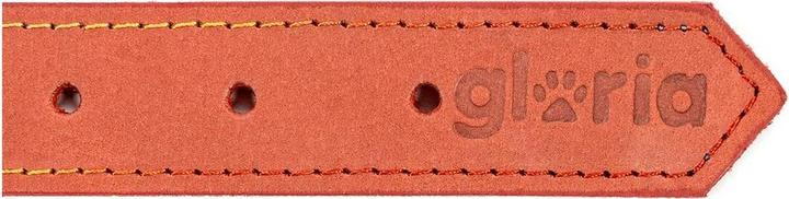 Immagine prodotto Gloria Collare per cani Oasis rosso 65 cm (65 x 3 cm) (3 cm)