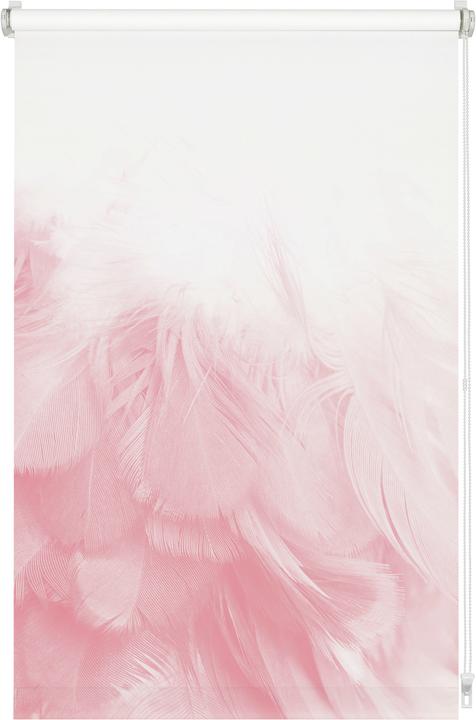 Actual product image Gardinia EASYFIX roller blind Digiprint feather boa (110 x 150 cm)