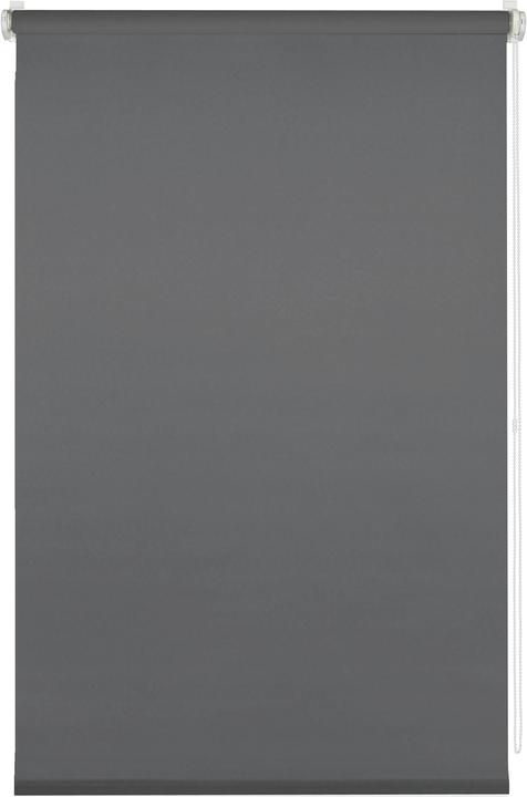 Immagine prodotto Deco Company Tenda a rullo Uni (45 x 150 cm)
