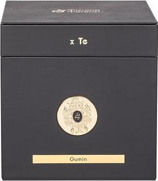 Image du produit Tiziana Terenzi Gumin (Eau de parfum, 100 ml)