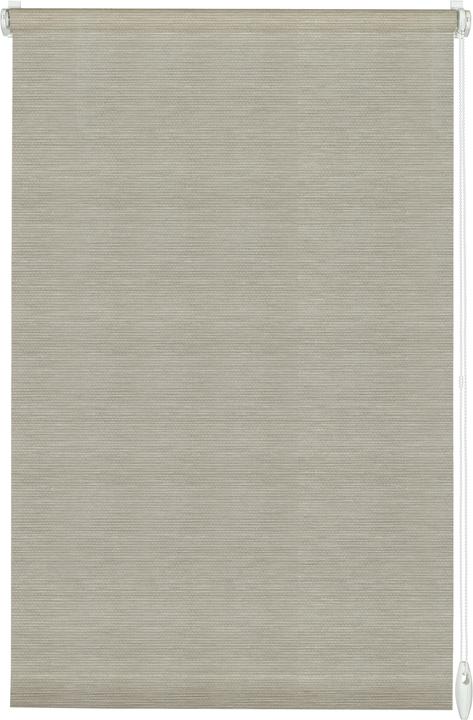 Immagine prodotto Gardinia Tenda a rullo EASYFIX natura (60 x 150 cm)