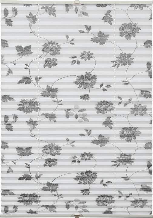 Immagine prodotto Gardinia Cieco plissettato Concetto per il bloccaggio di fiori e piante in fiore (50 x 130 cm)