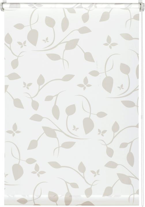 Immagine prodotto Gardinia Tenda a rullo EASYFIX decor 100 Scandinavian (105 x 180 cm)
