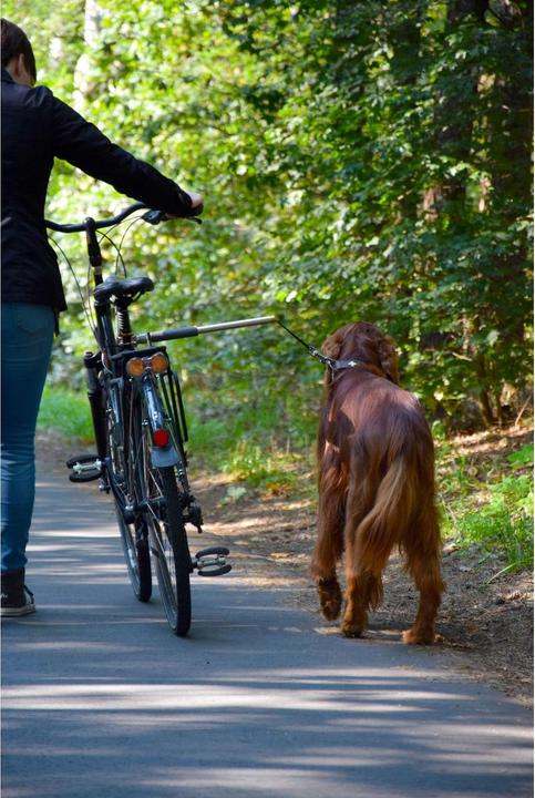 Produktbild Dobar Plus (One Size, Hund, Spazieren, Fahrrad)