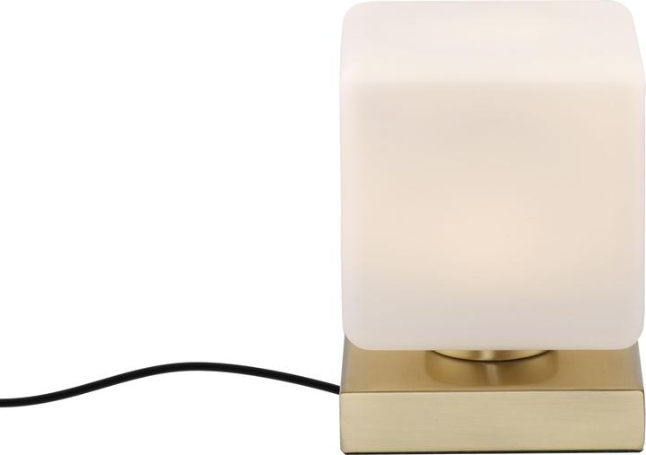 Produktbild Paul Neuhaus Dadoa (580 lm)
