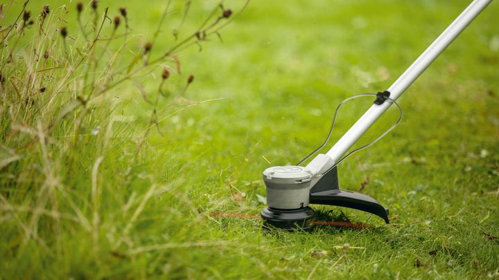 Actual product image Bosch Home & Garden AdvancedBrushCut 36V-23-750 (Trim line)