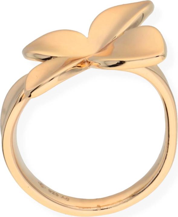 Immagine prodotto Carat Chic (58, 925 Argento)
