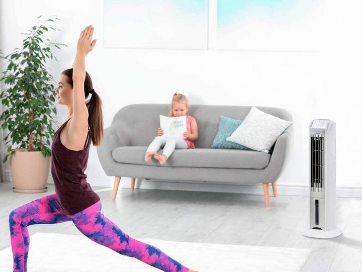 Image du produit Pur Line RAFY 79 Climatiseur à vapeur (15 m²)