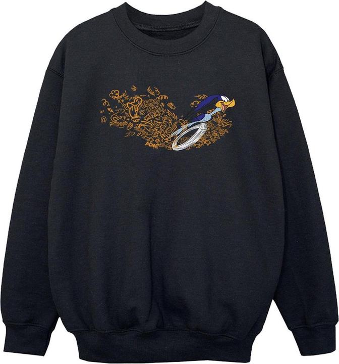 Actual product image Looney Tunes Boys ACME Doodles Road Runner Sweatshirt (104)