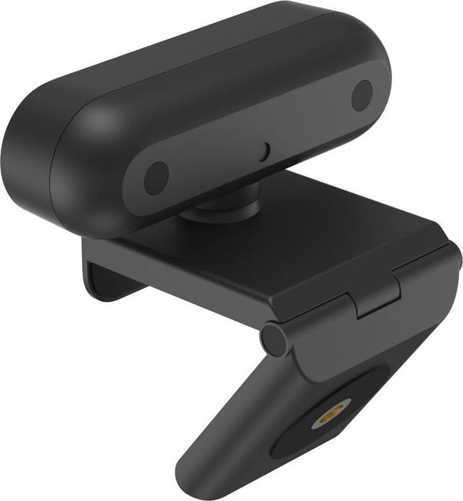 Image du produit AVerMedia Webcam, Live Stream Cam 310P PW310P, micro inclus (2 Mpx)
