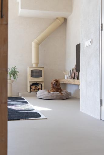 Productafbeelding Designed by Lotte Reza ligkussen (Hond)