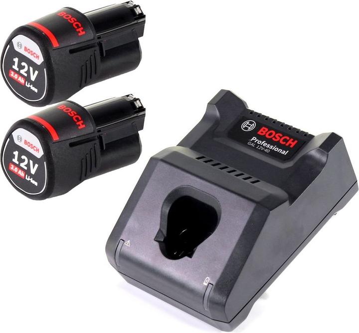 Actual product image Bosch Professional Charger and battery (12 V)