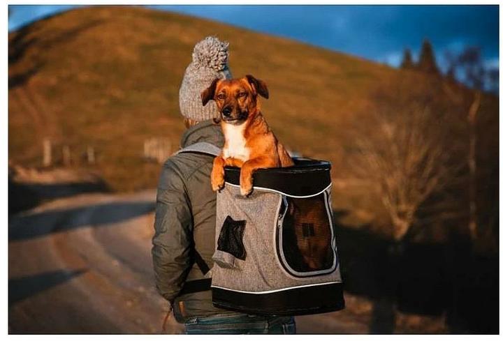 Immagine prodotto Deek Pets Leon (Cane, Riflettori, Traspirante)