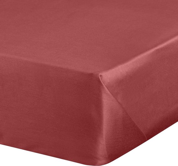 Eurofirany Drap lisse en satin de coton sans élastique, 180 x 210 cm (180 x 210 cm)