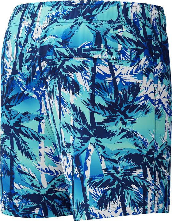 Image du produit Speedo Digi Printed 13" Watershort (L)