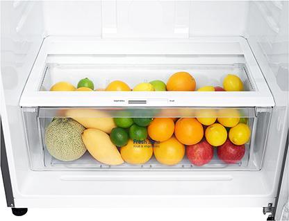 Image du produit LG GTF744PZPE Réfrigérateur à double porte Classe E (509 l)