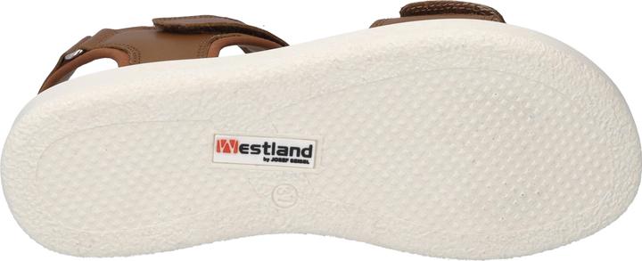 Actual product image Westland 25401-410 (38)