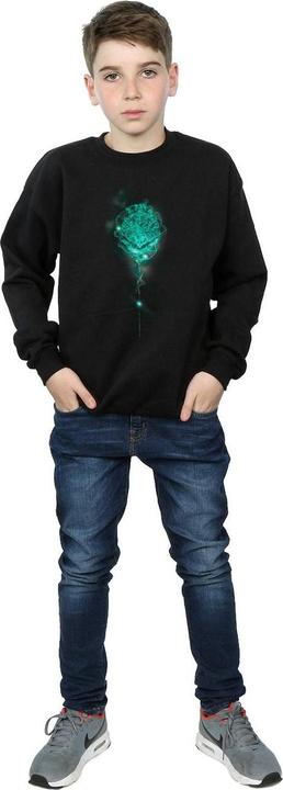 Produktbild Hogwarts Crest Mist Sweatshirt Jungen (140, 146)