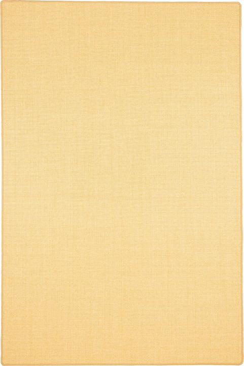 Image du produit Snapstyle Tapis en sisal naturel Classique - 9 coloris en 17 tailles (200 x 300 cm)