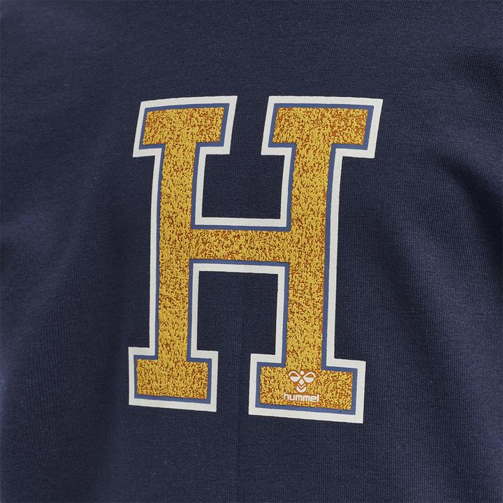 Image du produit hummel Hoodie De Géographie (128)
