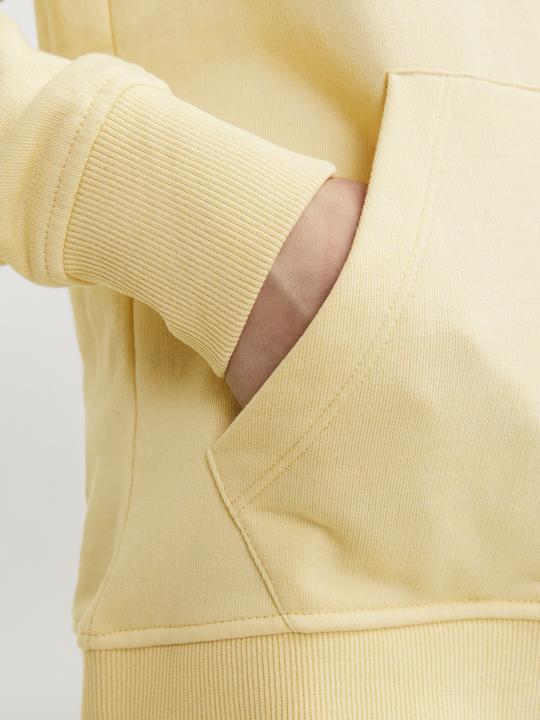 Image du produit Jack & Jones Jorcobin Sweat Hood Jnr (164)