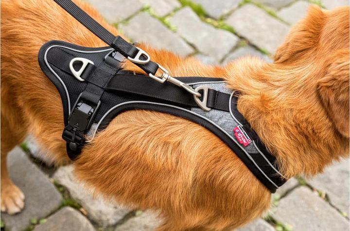 Image du produit Curli Harnais magnétique Belka Comfort (XS, Chien, Général)