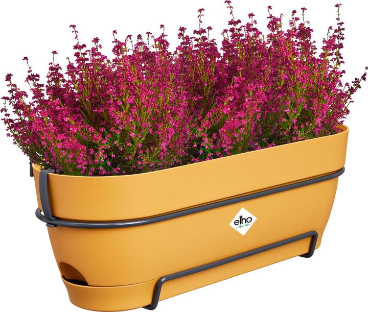 Immagine prodotto Elho Vibia Campana Balcony Box Allin1 (26 cm)