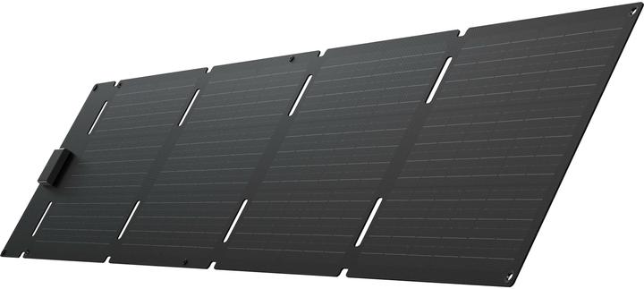 EcoFlow Solarpanel (60 W, 2 kg)
