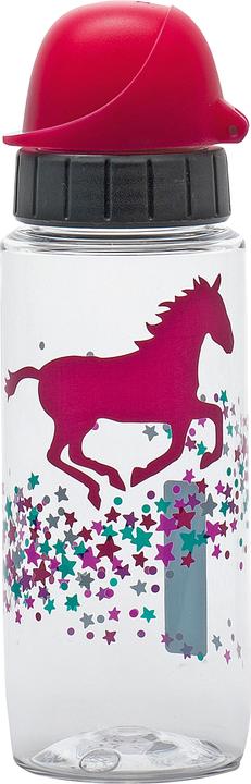 Actual product image Emsa Drink2Go Tritan (0.50 l)