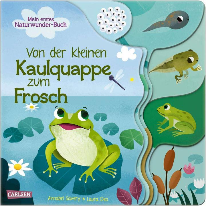 Actual product image From little tadpole to frog (German)
