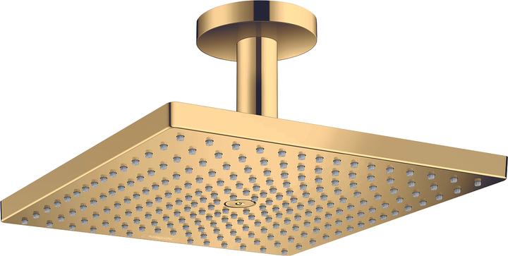Polished Gold Optic